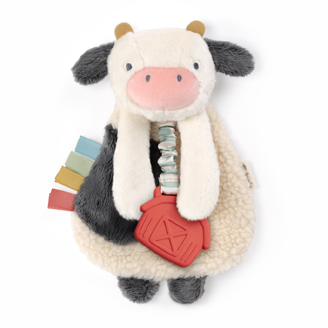 Itzy LoveyTM Plush and Teether Toy