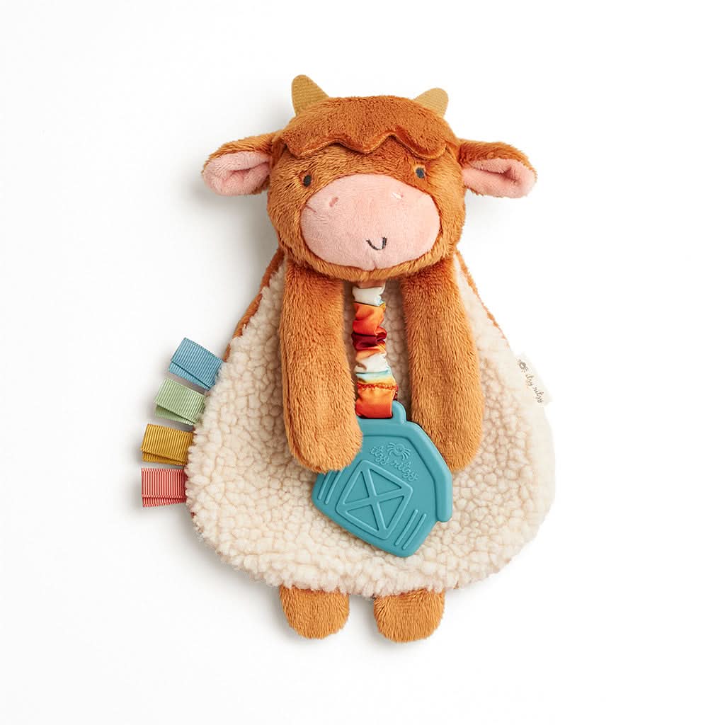 Itzy LoveyTM Plush and Teether Toy - Image 16