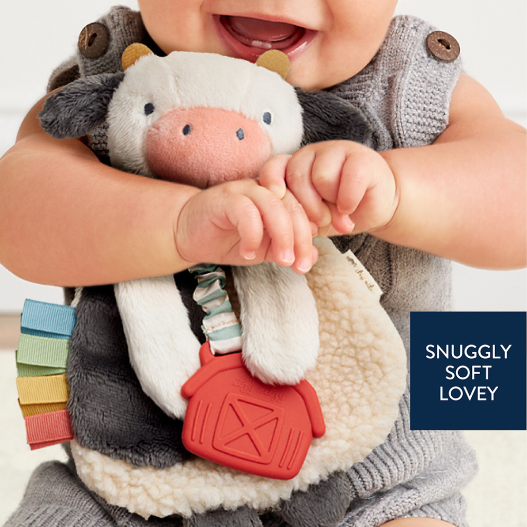 Itzy LoveyTM Plush and Teether Toy - Image 2