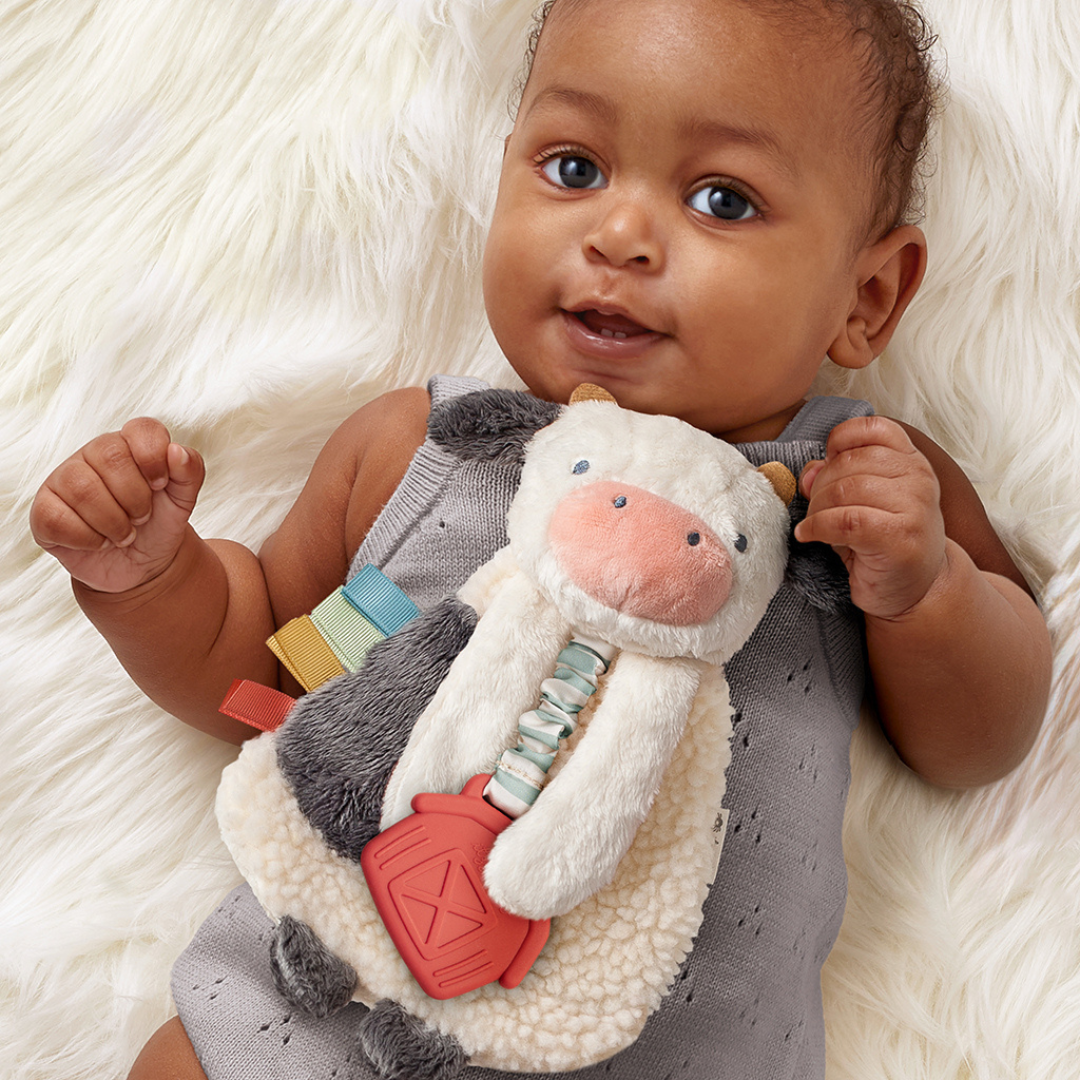 Itzy LoveyTM Plush and Teether Toy - Image 7